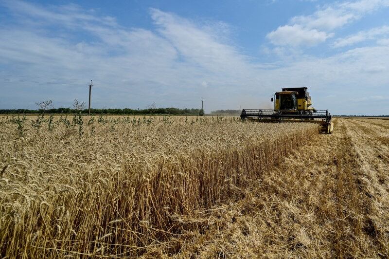 Desde 2022, Rusia ha exportado al menos 4 millones de toneladas de grano desde Ucrania, generando 800 millones de dólares. (REUTERS/Stringer)