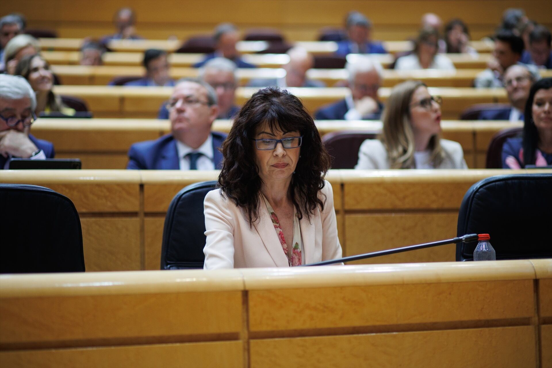 La ministra de Igualdad, Ana Redondo, en una sesión de control al Gobierno. 
(Alejandro Martínez Vélez / Europa Press)