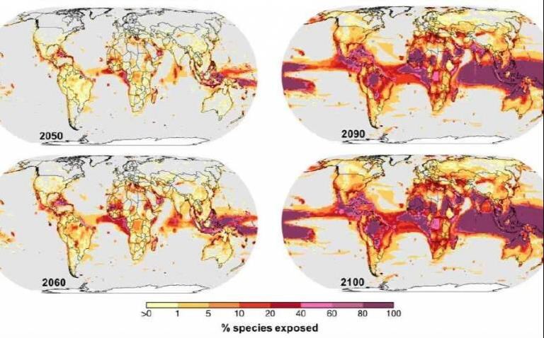 Proyección de calentamiento global para las próximas décadas (UCL) 