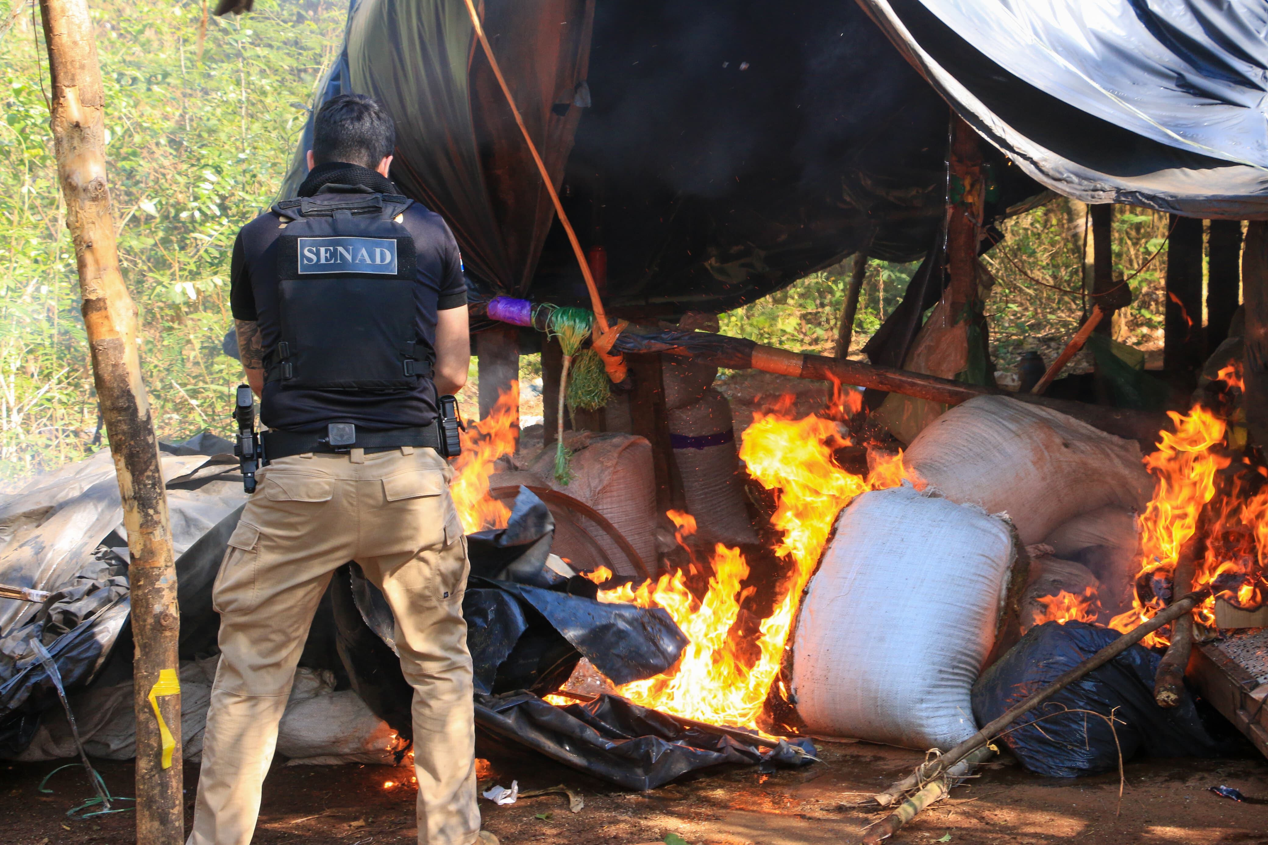 Cinco detenidos en Paraguay en un operativo contra red que enviaba marihuana hacia Brasil