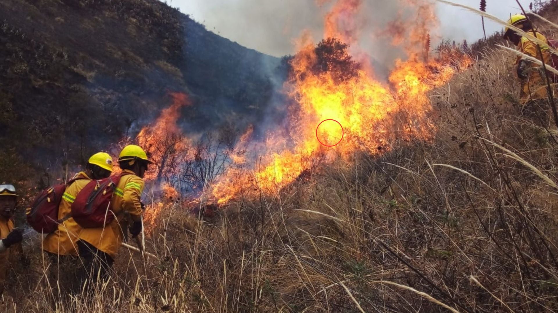 Dos integrantes del Cuerpo de Bomberos del Perú intenta sofocar el fuego de un incendio forestal en el sierra del país.