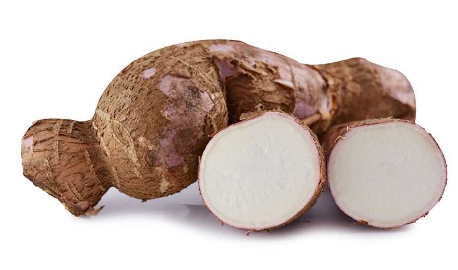 yuca