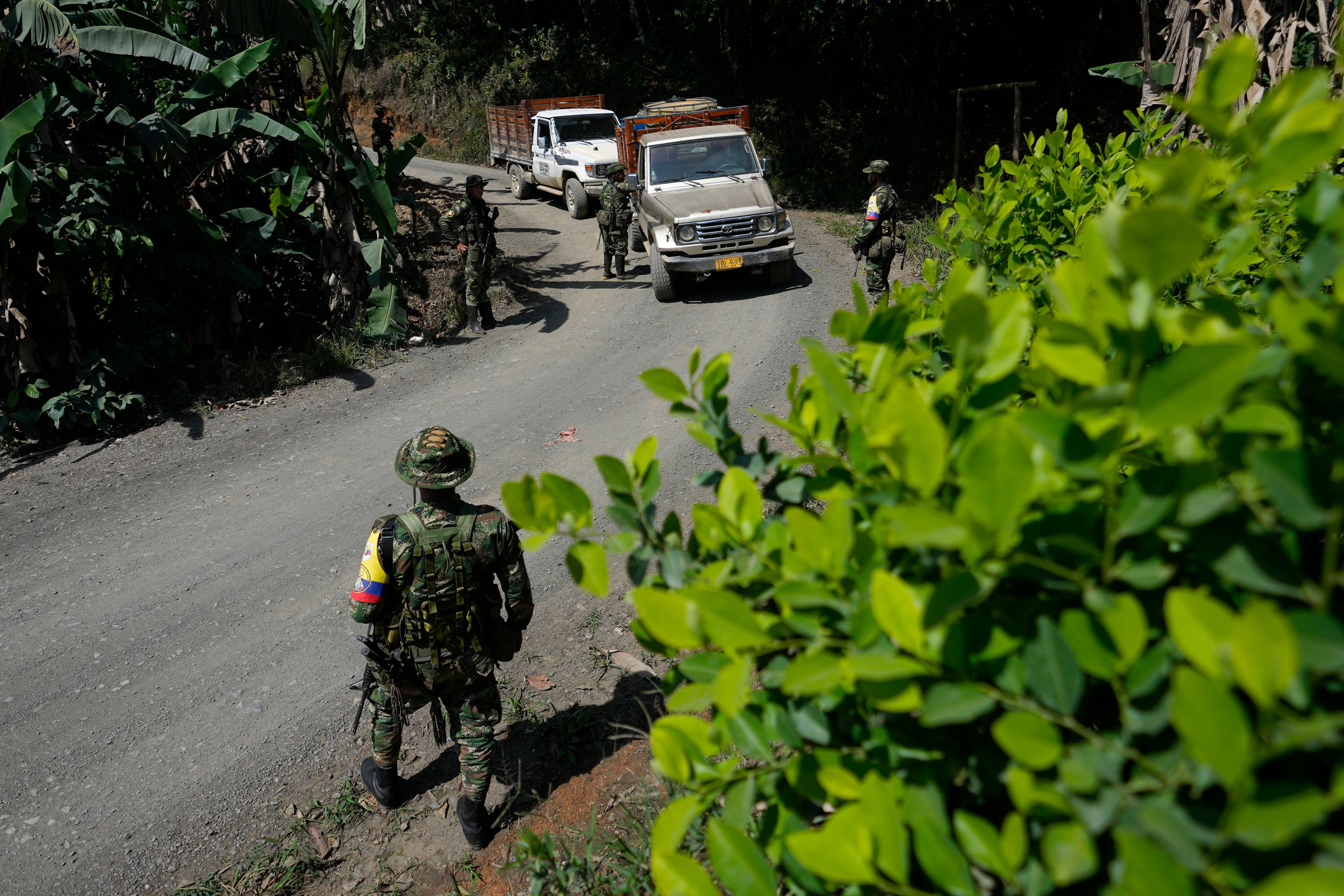 Miembros de una disidencia de las Farc hacen guardia en un punto de control en la región del Cañón del Micay - crédito Fernando Vergara/AP Foto