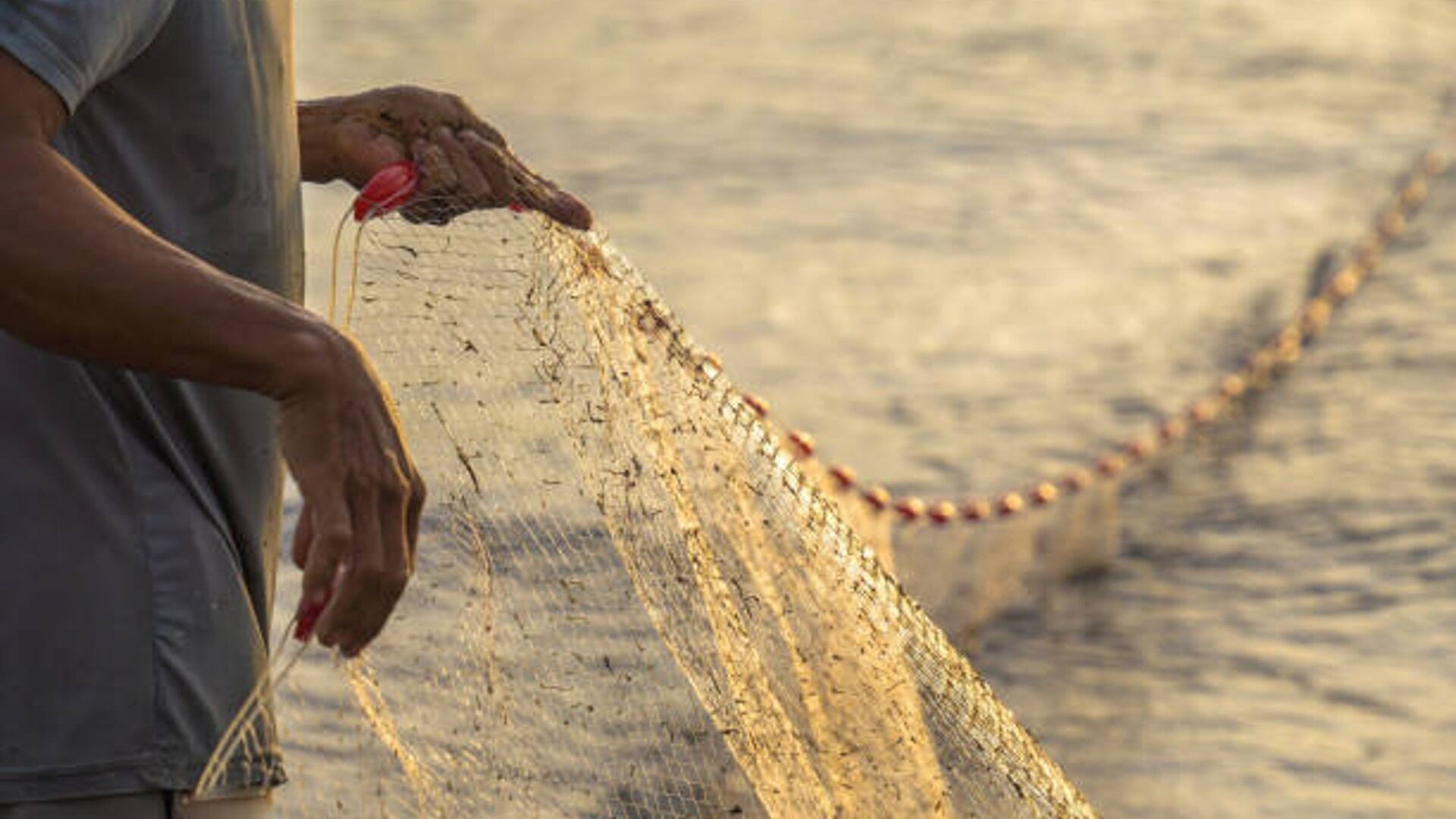 Personas dedicadas a la pesca artesanal advierten que esta resolución amenaza la actividad pesquera en la isla - crédito imagen de referencia iStock