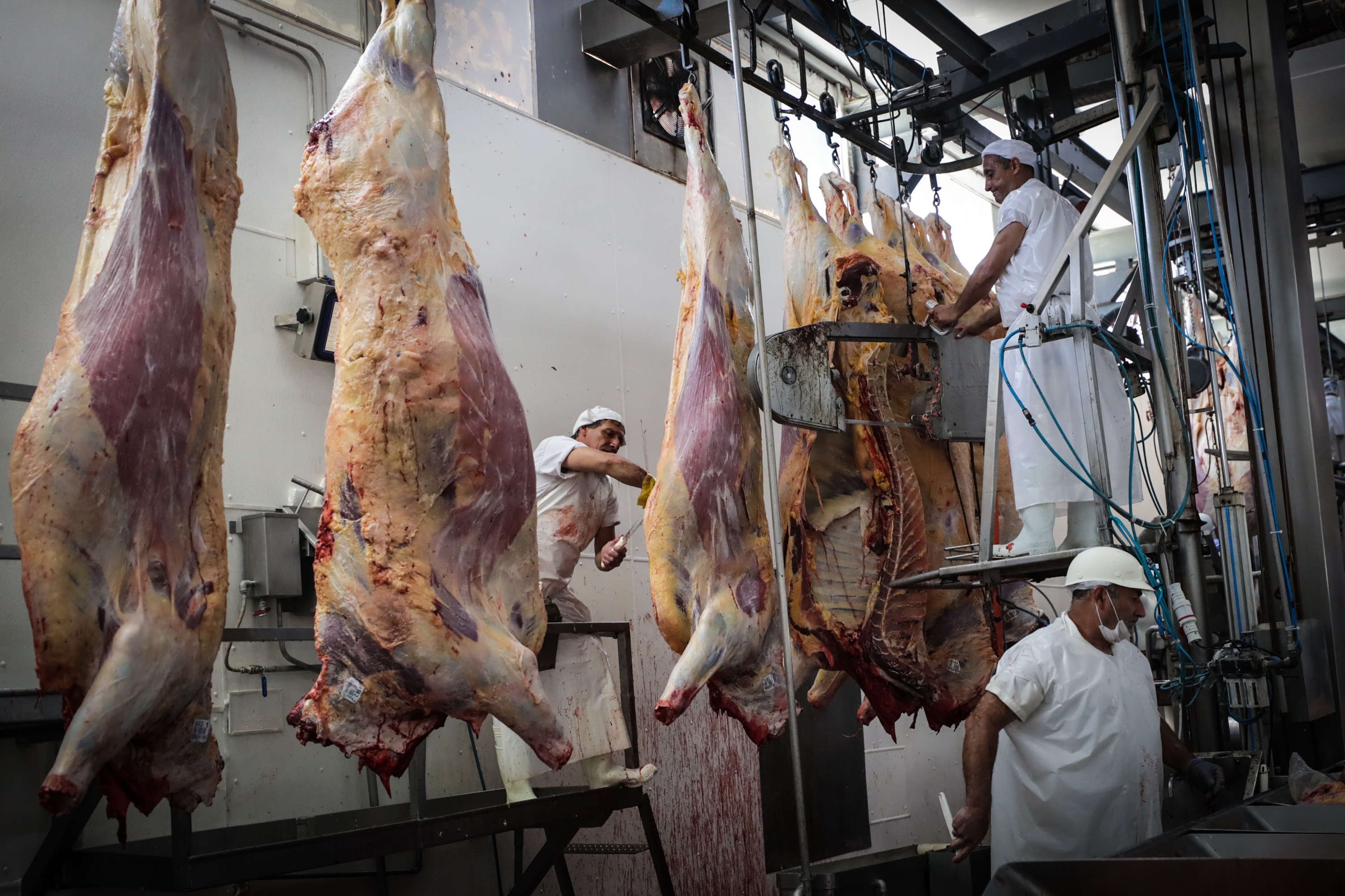 Fotografía de archivo en donde se ven trabajadores de un frigorífico uruguayo mientras cortan carne en Montevideo (Uruguay). El segundo producto de exportación del país. EFE/Federico Anfitti
