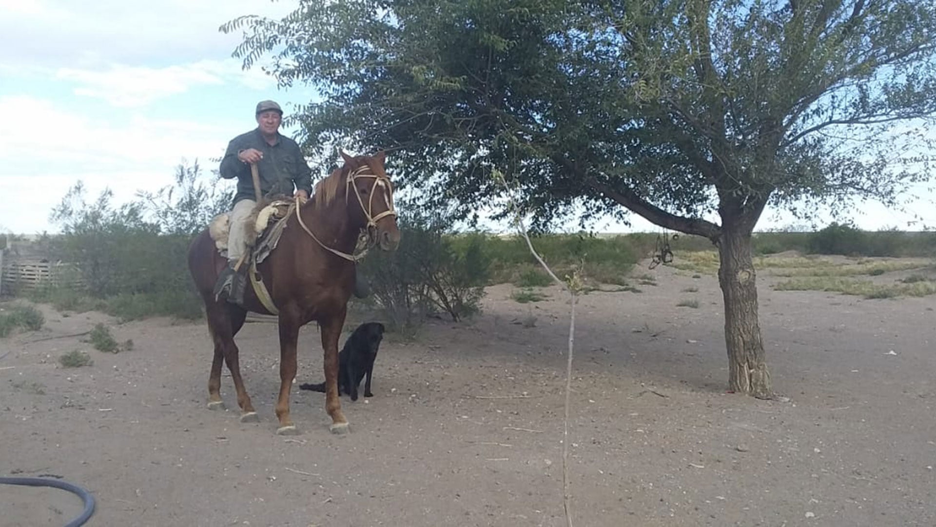 Carlos Amaya, La Pampa