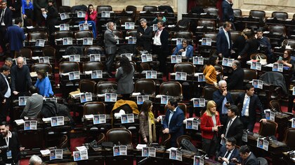 “Buscando a Loan”: los carteles que colocaron algunos diputados en la Sesión por la Ley Bases