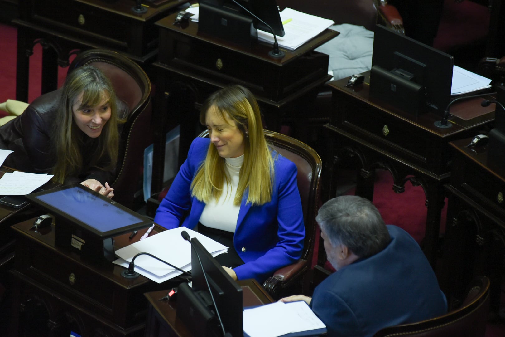 Debate Ley Bases en el Senado - 12.06.2024