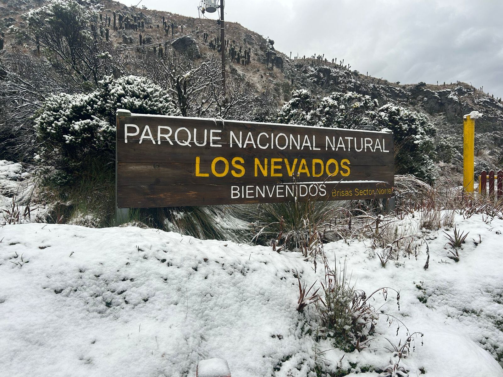 Tolima propuso implementar Pico y placa y un peaje ambiental en el Parque Nacional Los Nevados para regular turismo  