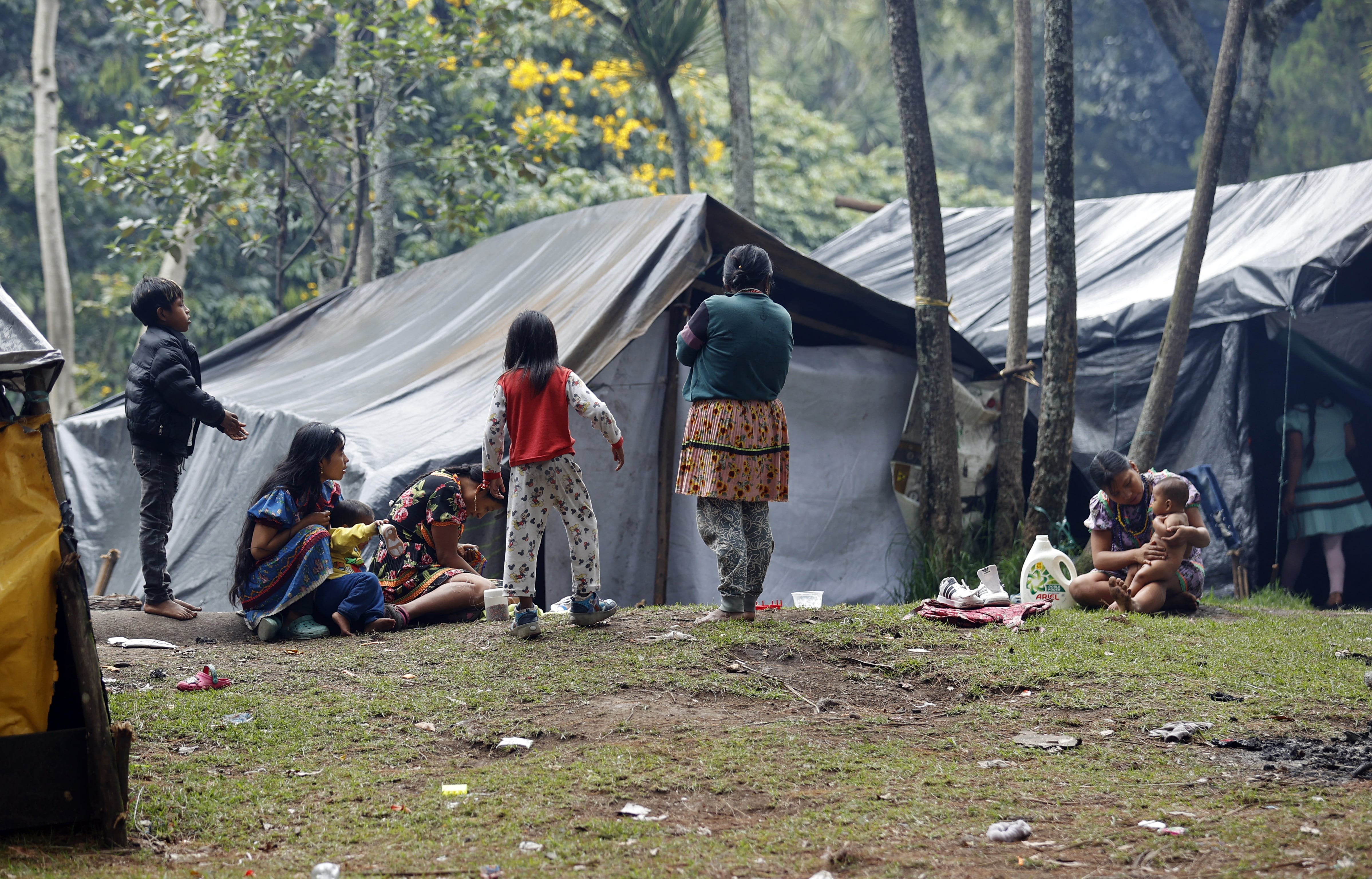 De acuerdo con el alcalde Galán, es fundamental que desde el Gobierno nacional se tomen medidas para que los Embera retornen a sus territorios - crédito Mauricio Dueñas Castañeda/EFE
