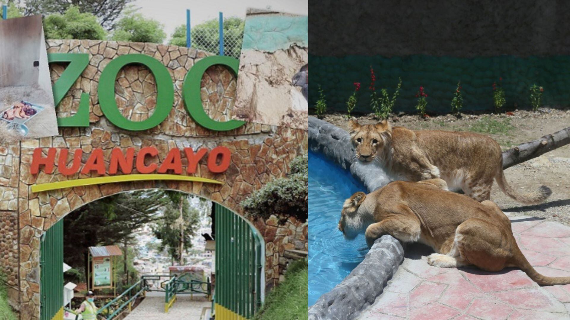 Zoológico de Huancayo