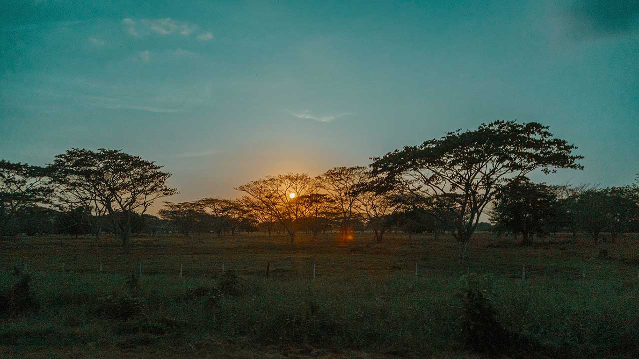 Esos sujetos estarían haciendo cobros periódicos a campesinos, en promedio de 50.000 pesos, a cambio de una supuesta adjudicación de tierras - crédito Presidencia de la República.