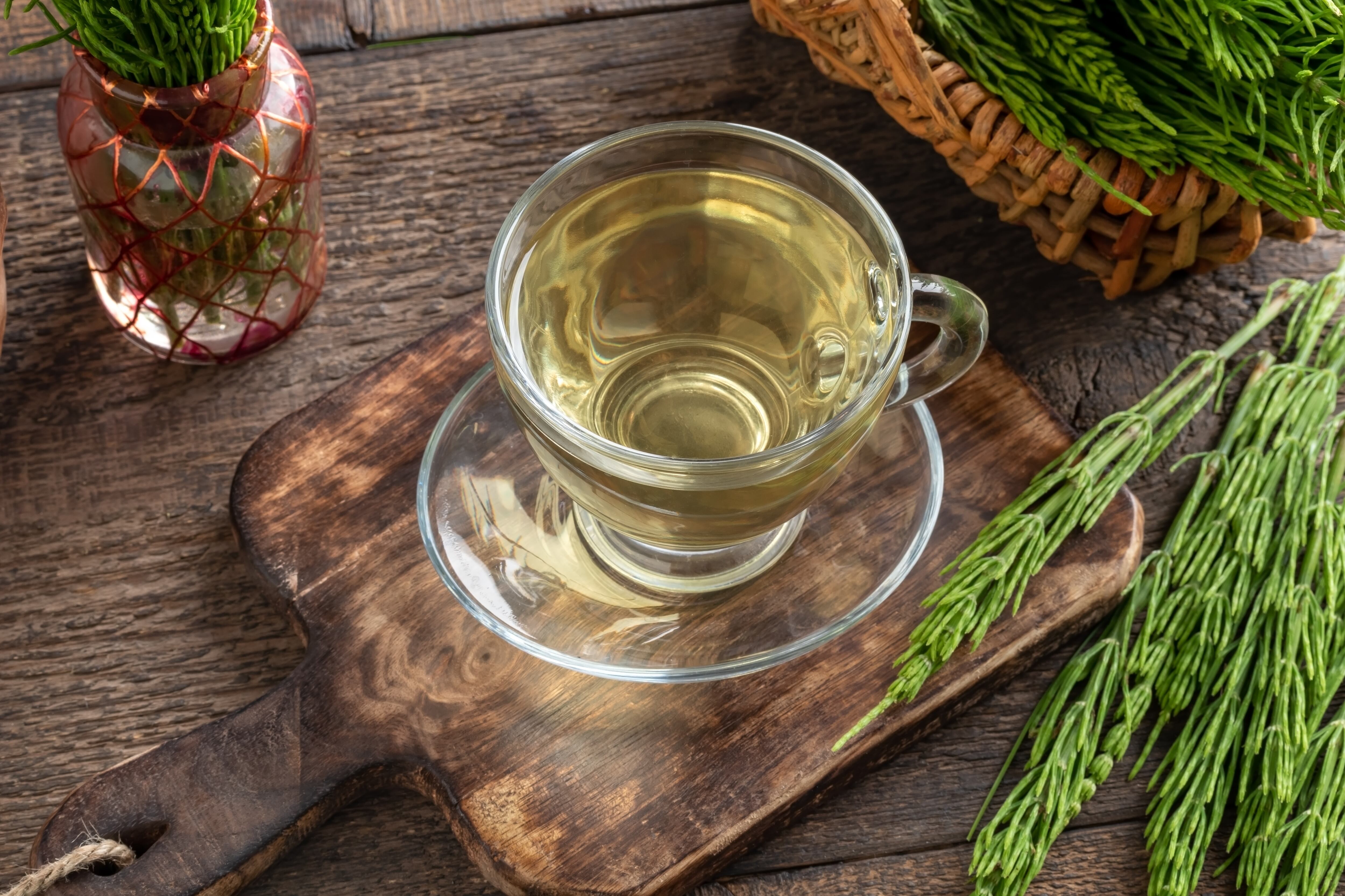 Infusión de cola de caballo (Shutterstock)