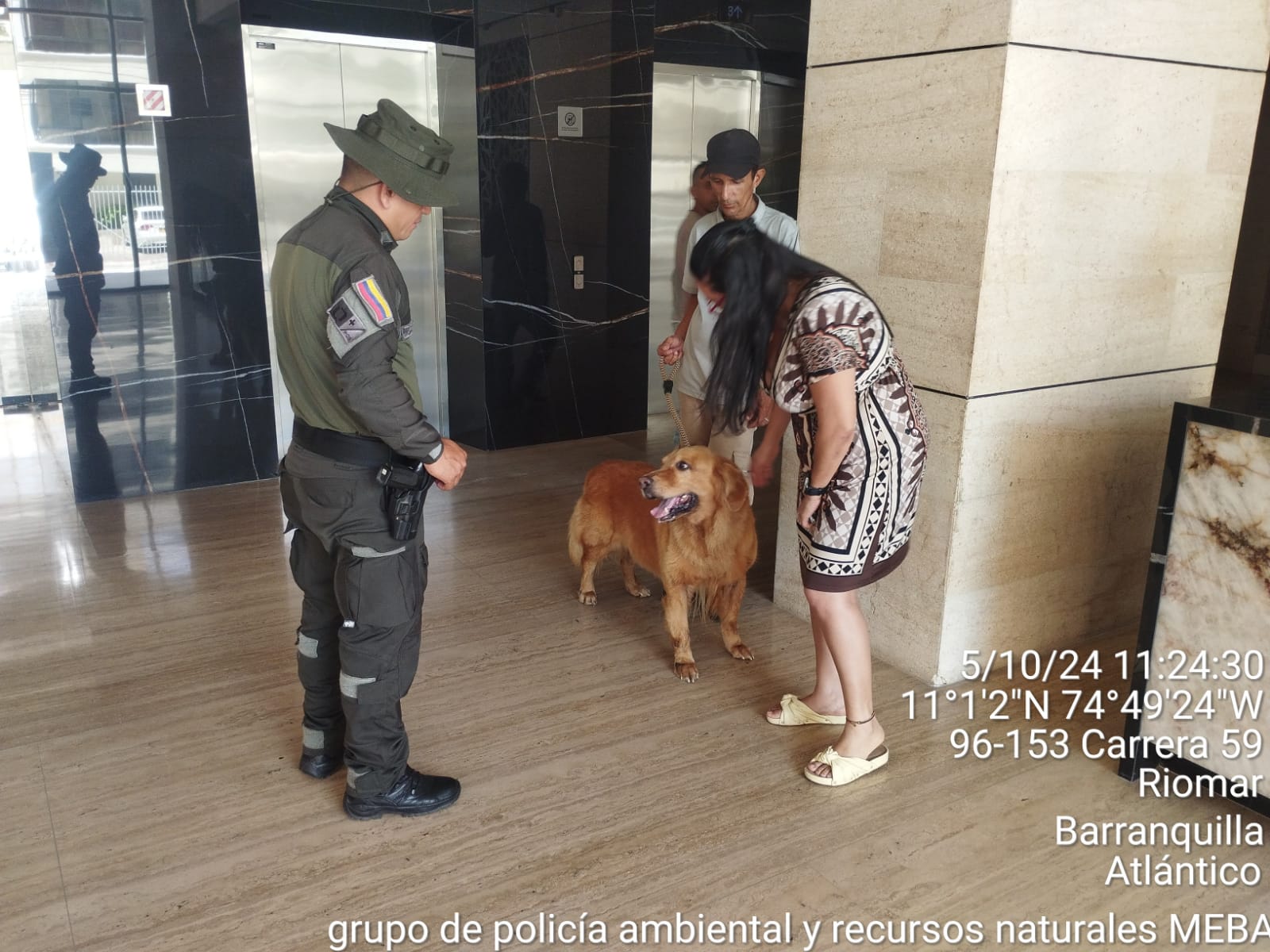 Perro abandonado en un balcón de Barranquilla