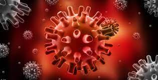 Virus del herpes simple