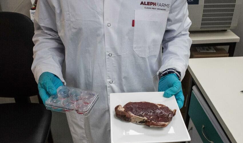 Esta startup creó carne sintética 3D en el espacio y logró recaudar más de 100 millones de dólares