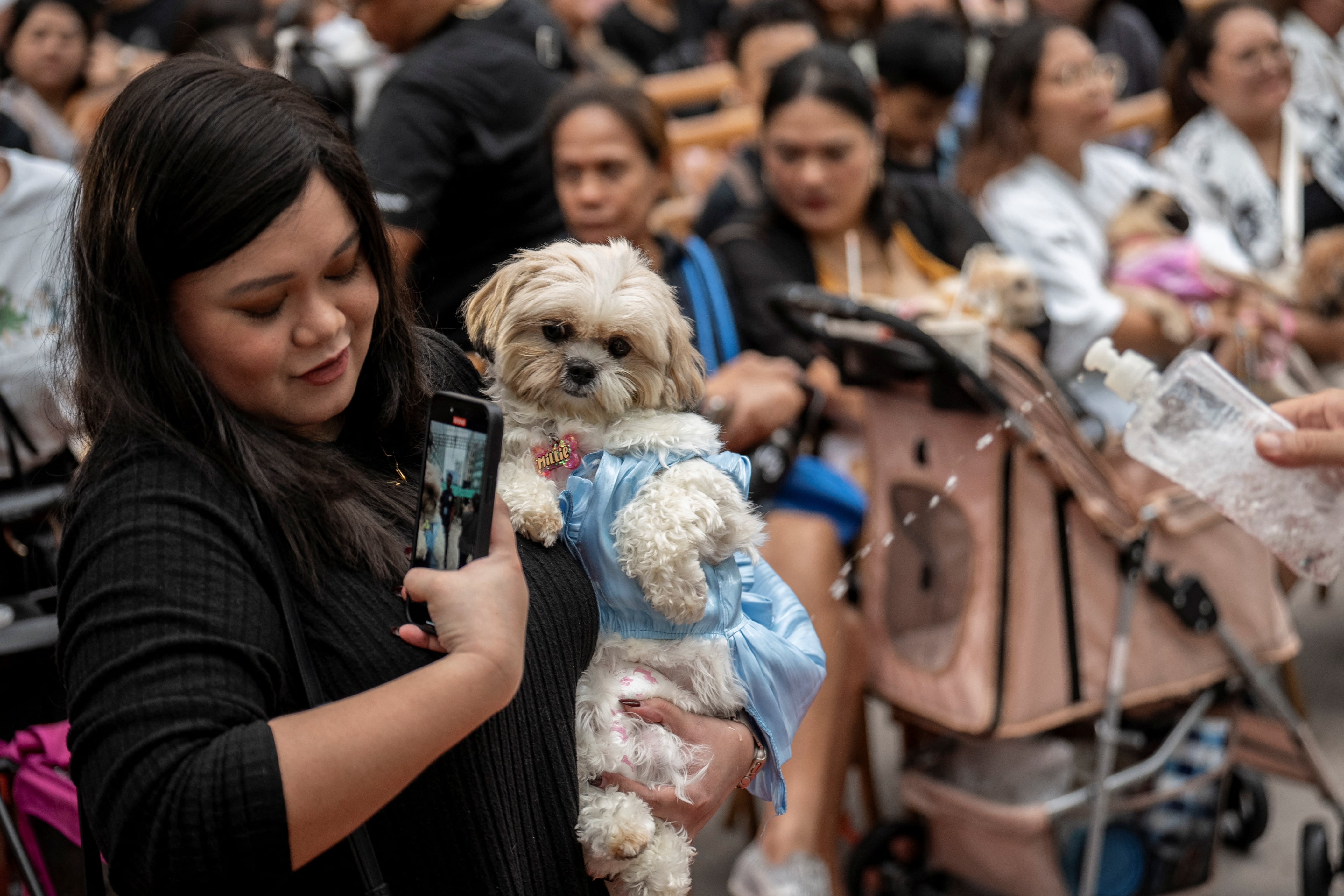 A la celebración acudieron perros, gatos y mascotas de todo tipo. 
