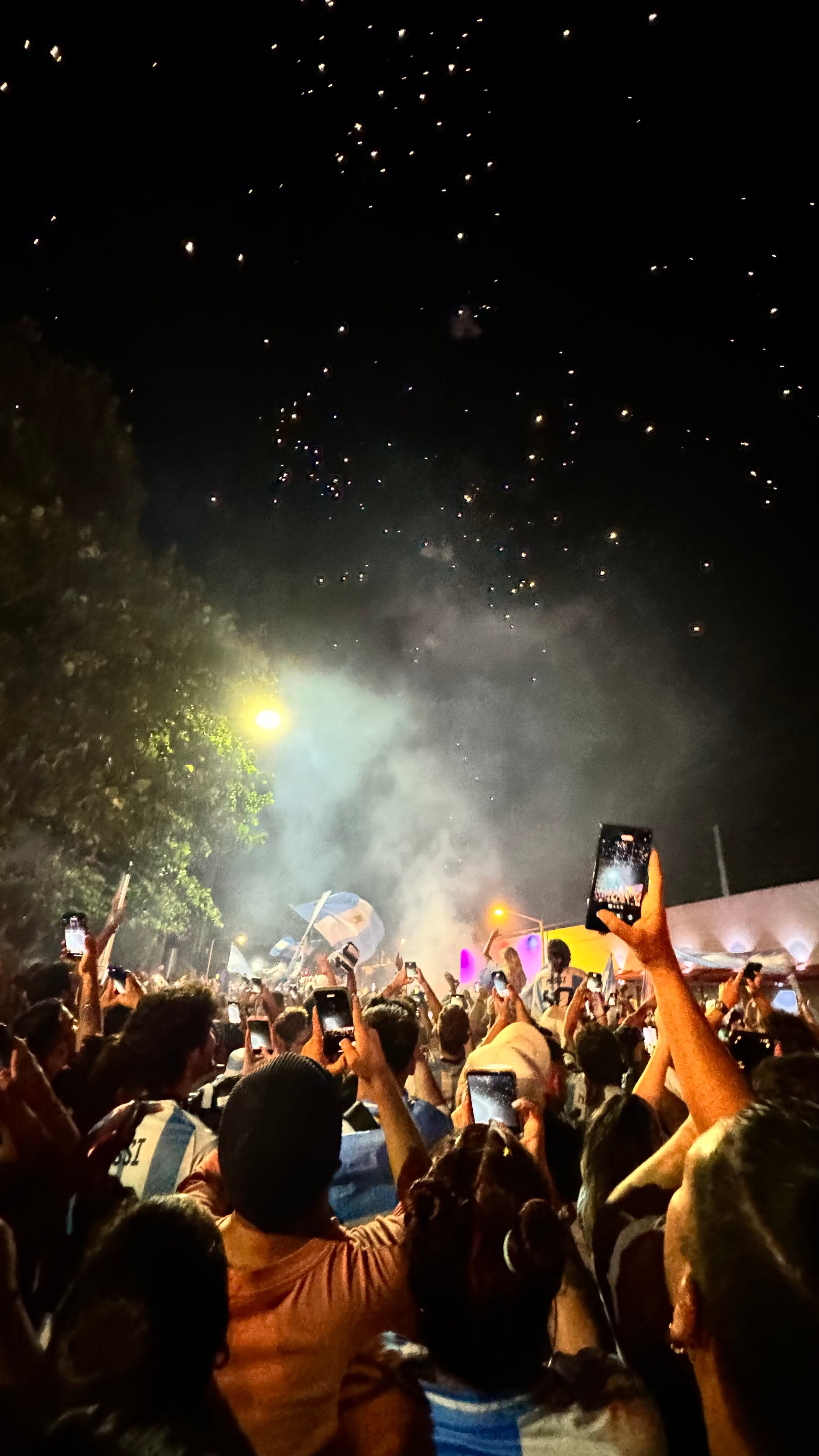 Una multitud de hinchas argentinos, vestidos con camisetas de la selección y agitando banderas celestes y blancas, celebra en las calles de Miami Beach durante la noche. La gente se muestra eufórica, tomando fotos y cantando, en una atmósfera festiva y llena de emoción tras la victoria de la Selección Argentina en la Copa América.