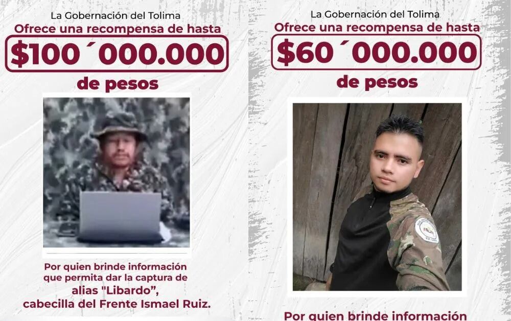 Con el objetivo de frenar la influencia delictiva en el sur del departamento, se ofrecen recompensas de hasta $100 millones por información valiosa - crédito Gobernación del Tolima