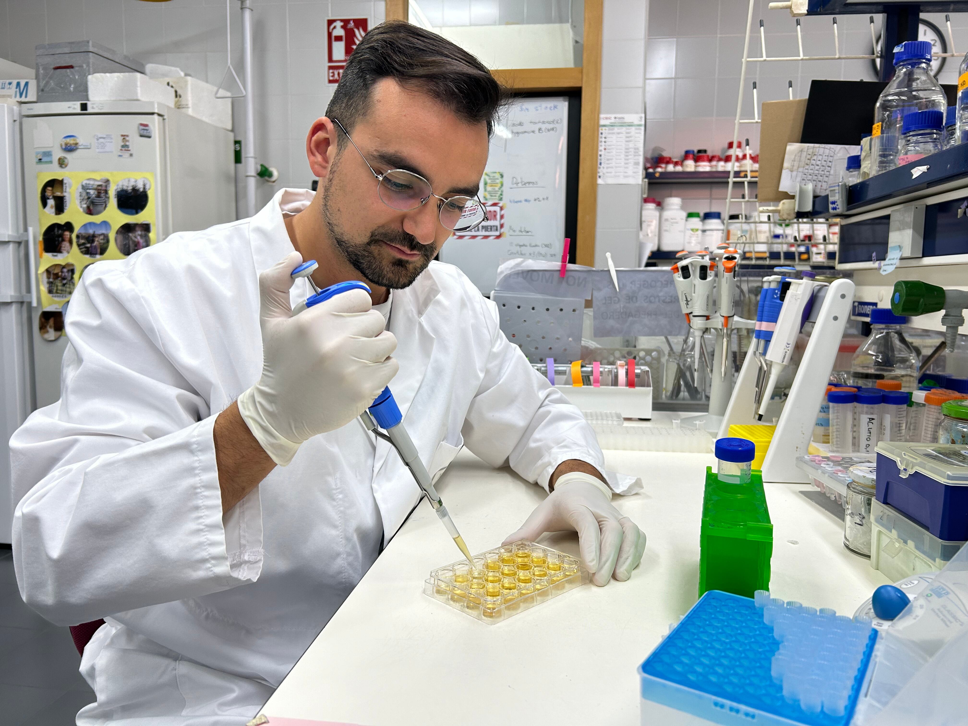 El investigador Andrés Planells trabajando en el laboratorio. (Cedida a Infobae)