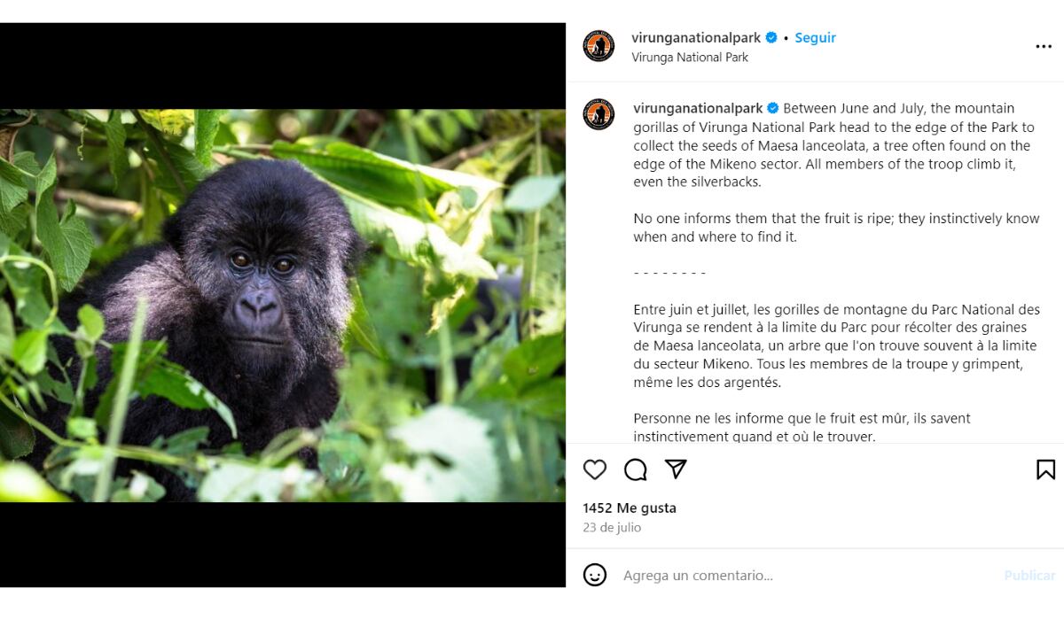 (Instagram: Virunga National Park)