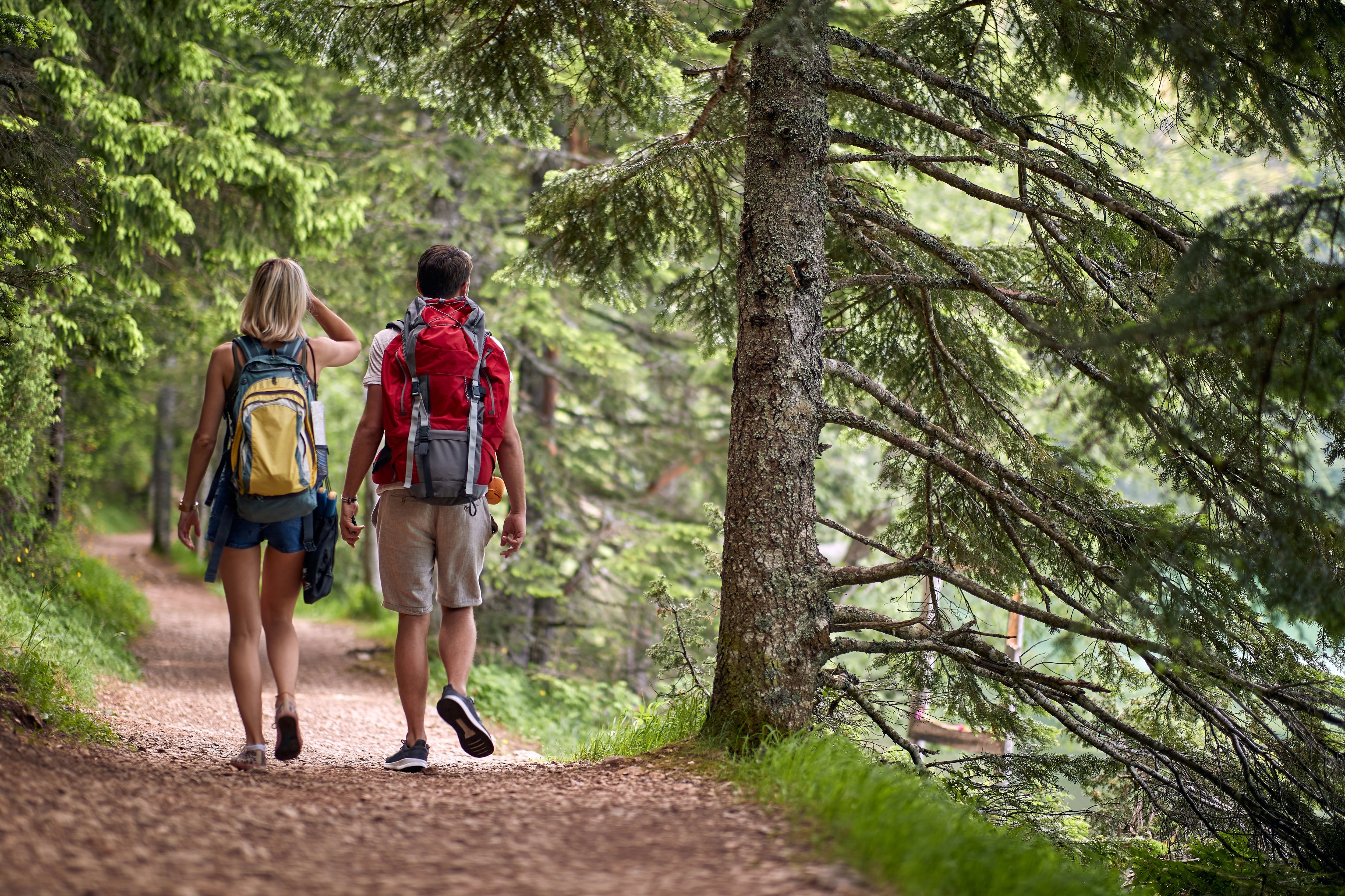 Una pareja practica senderismo en la montaña (Shutterstock)