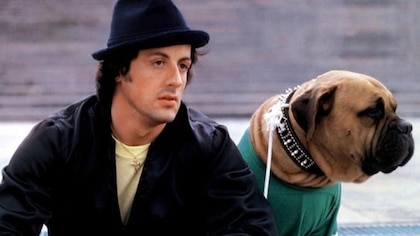 La historia de Butkus, el perro de “Rocky” que Sylvester Stallone tuvo que vender agobiado por la pobreza