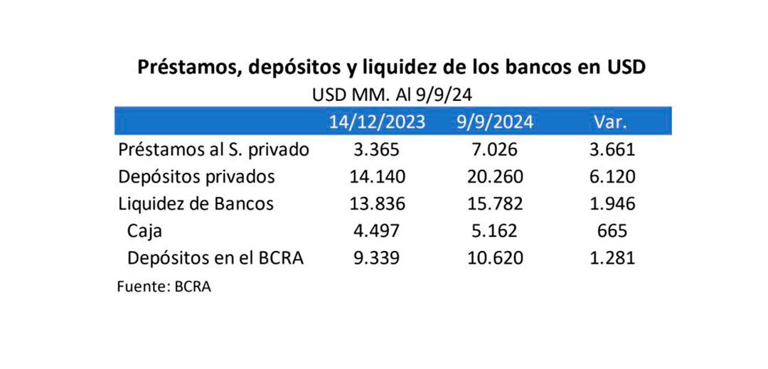 Quantum Depósitos Crédito Dólares Inflación