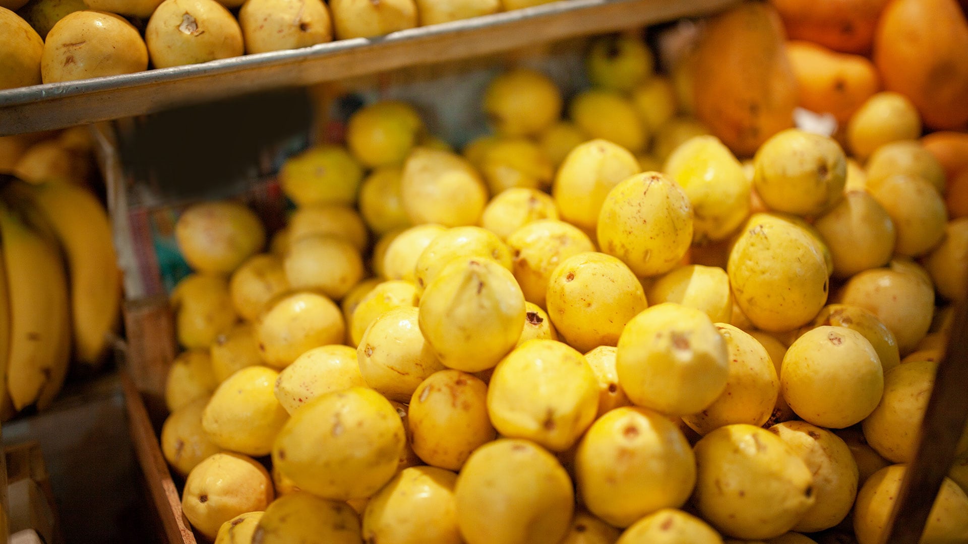 Guayaba amazónica