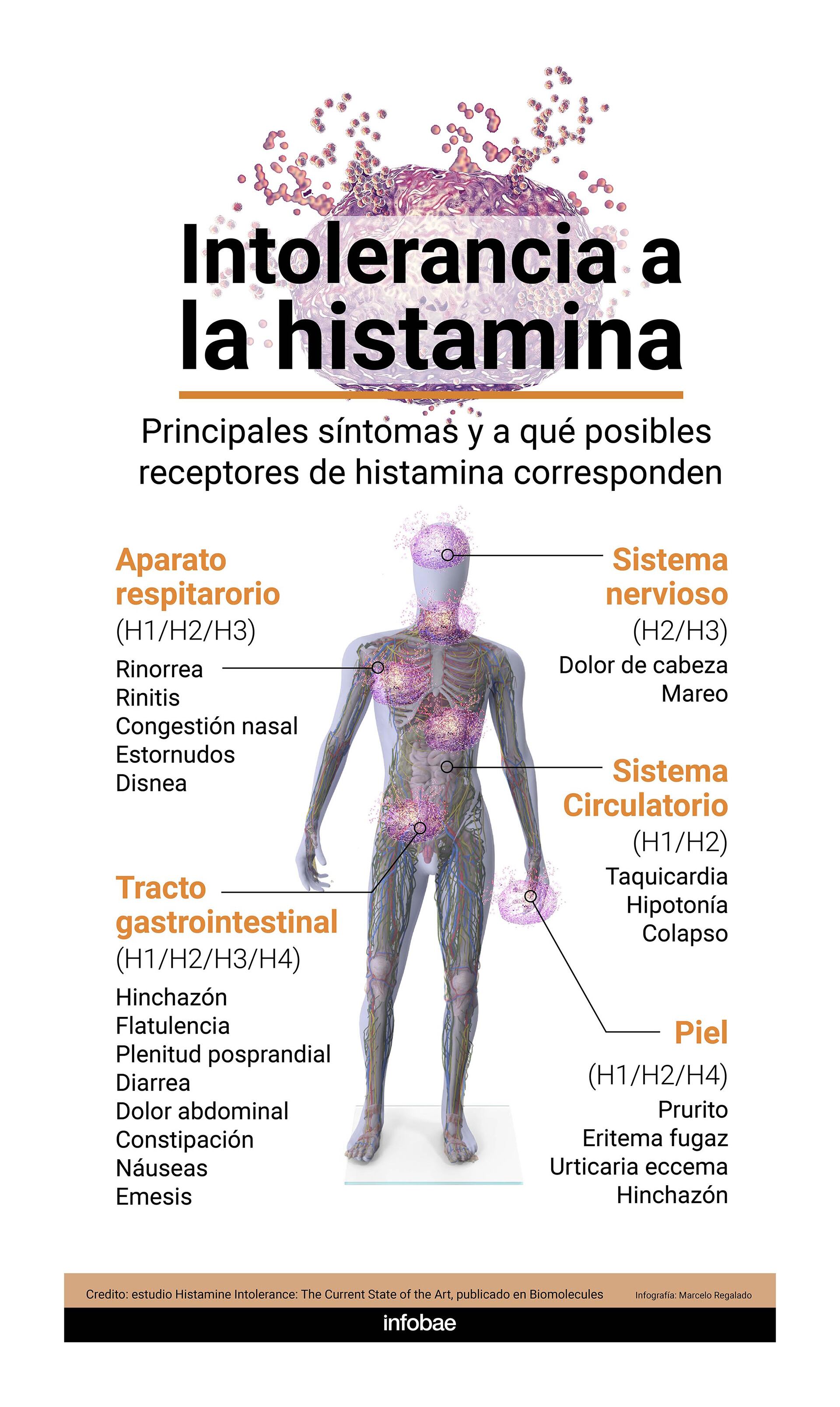 histamina, el efecto de la histamina en el organismo