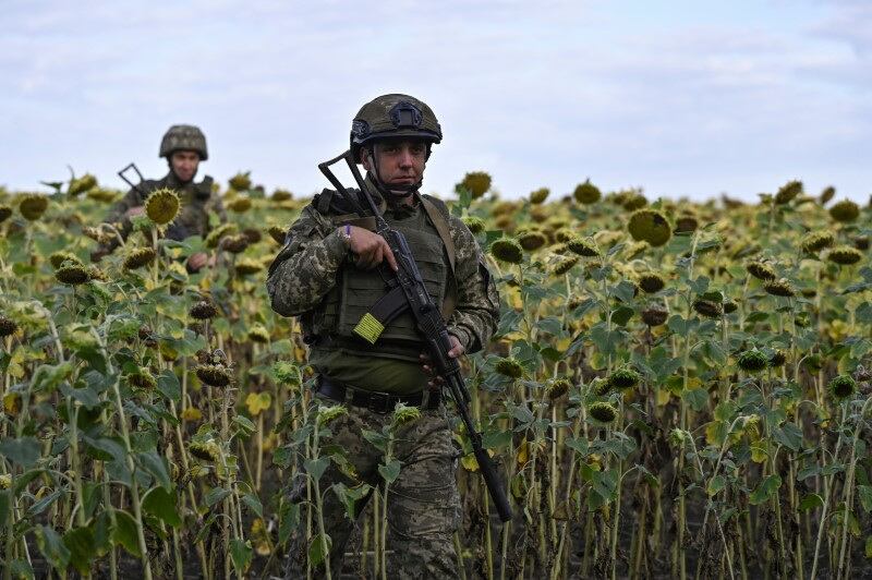 Militares ucranianos caminan entre girasoles, hacia su posición en las afueras de la ciudad de Pokrovsk, en medio del ataque de Rusia a Ucrania, en la región de Donetsk (REUTERS/Stringer)