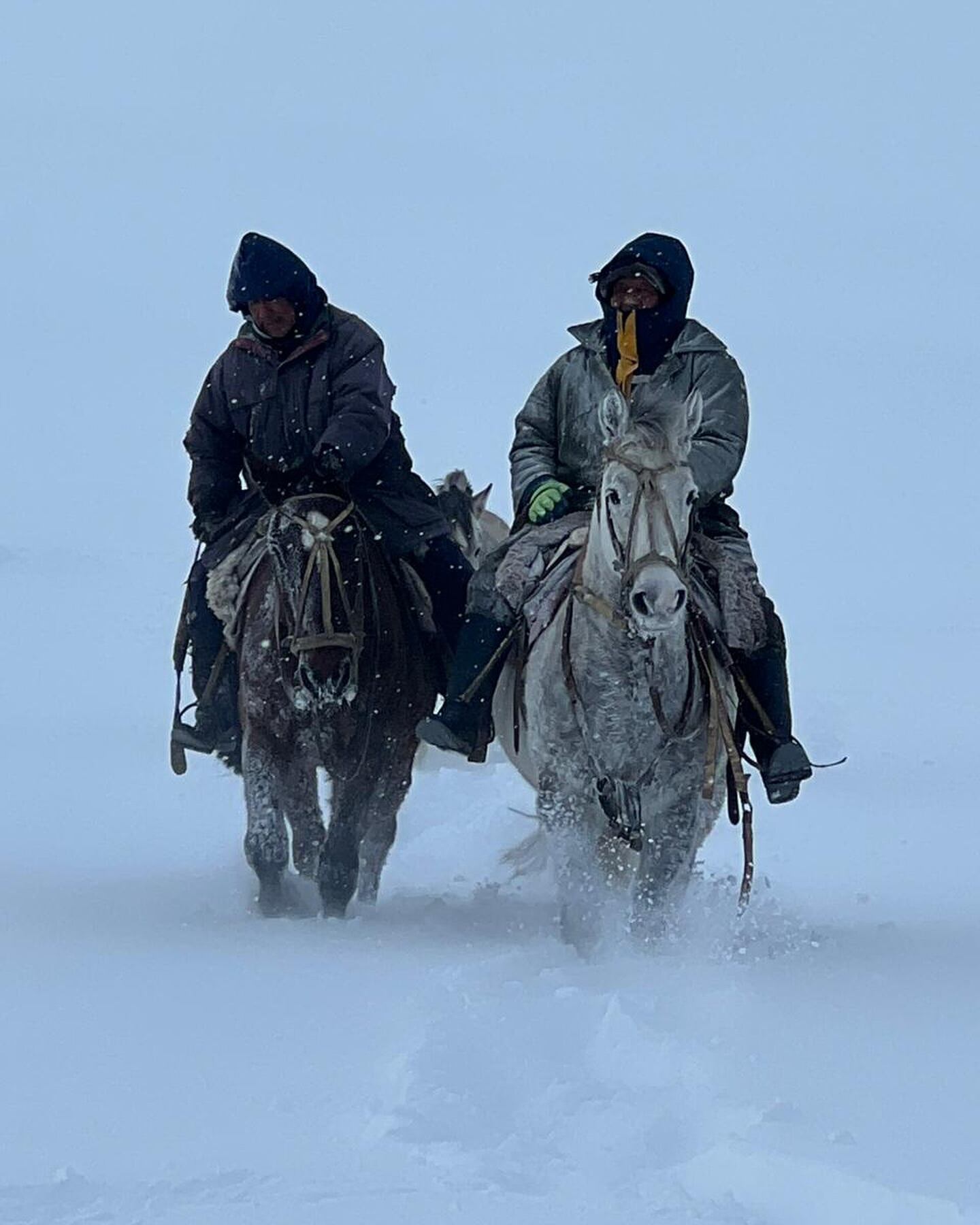 Cabalgando en la nieve