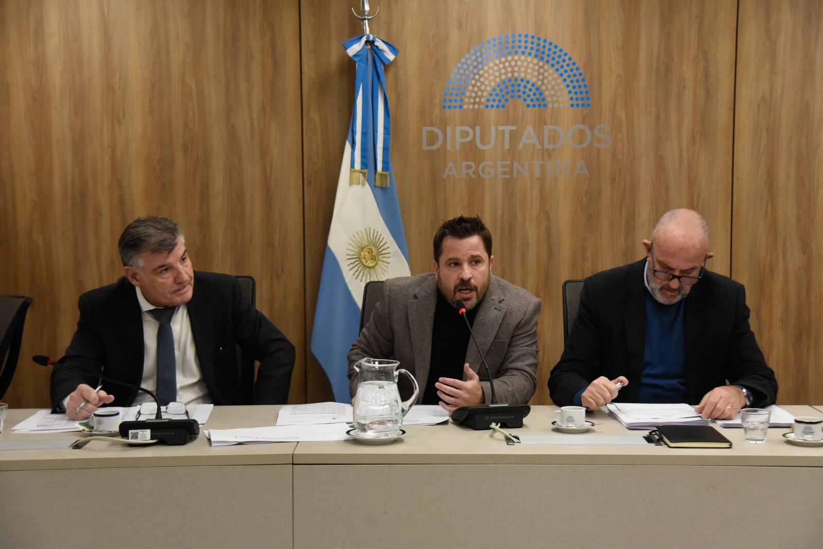 Martín Tetaz, diputado de la UCR