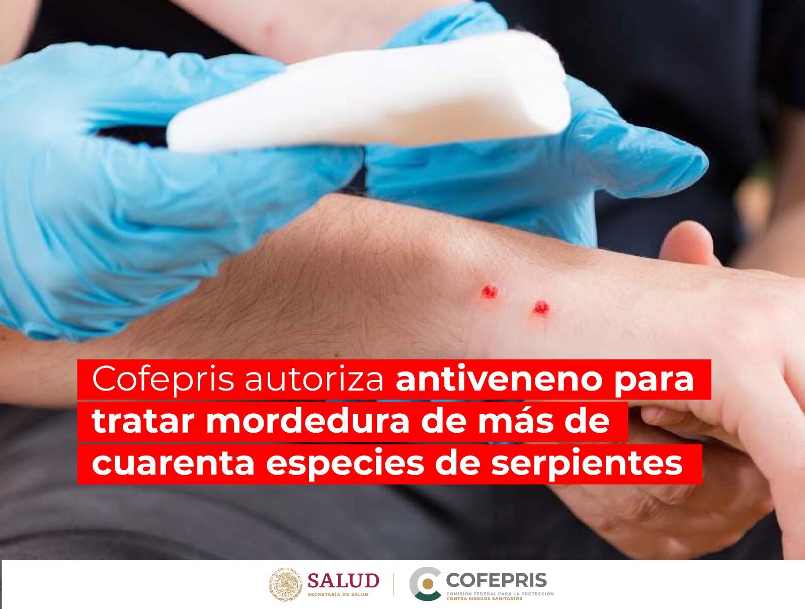 Foto: Cofepris