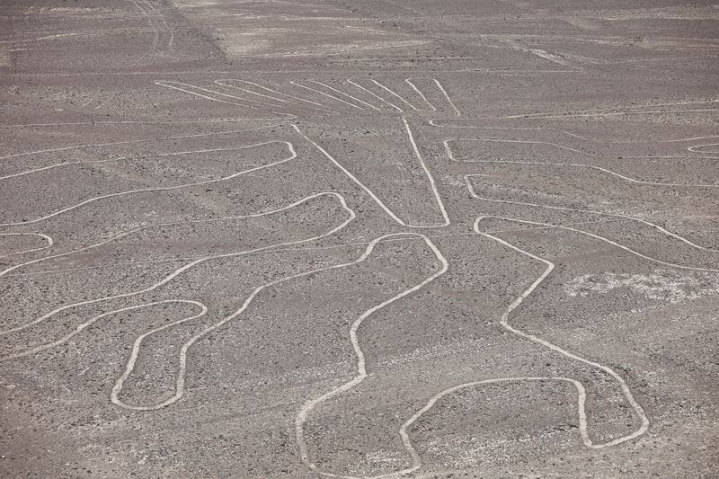 Una vista de dron muestra un antiguo geoglifo que representa un árbol en el área arqueológica de las Líneas de Nazca, en Nazca, Perú, el 18 de enero de 2024. REUTERS/Sebastián Castañeda