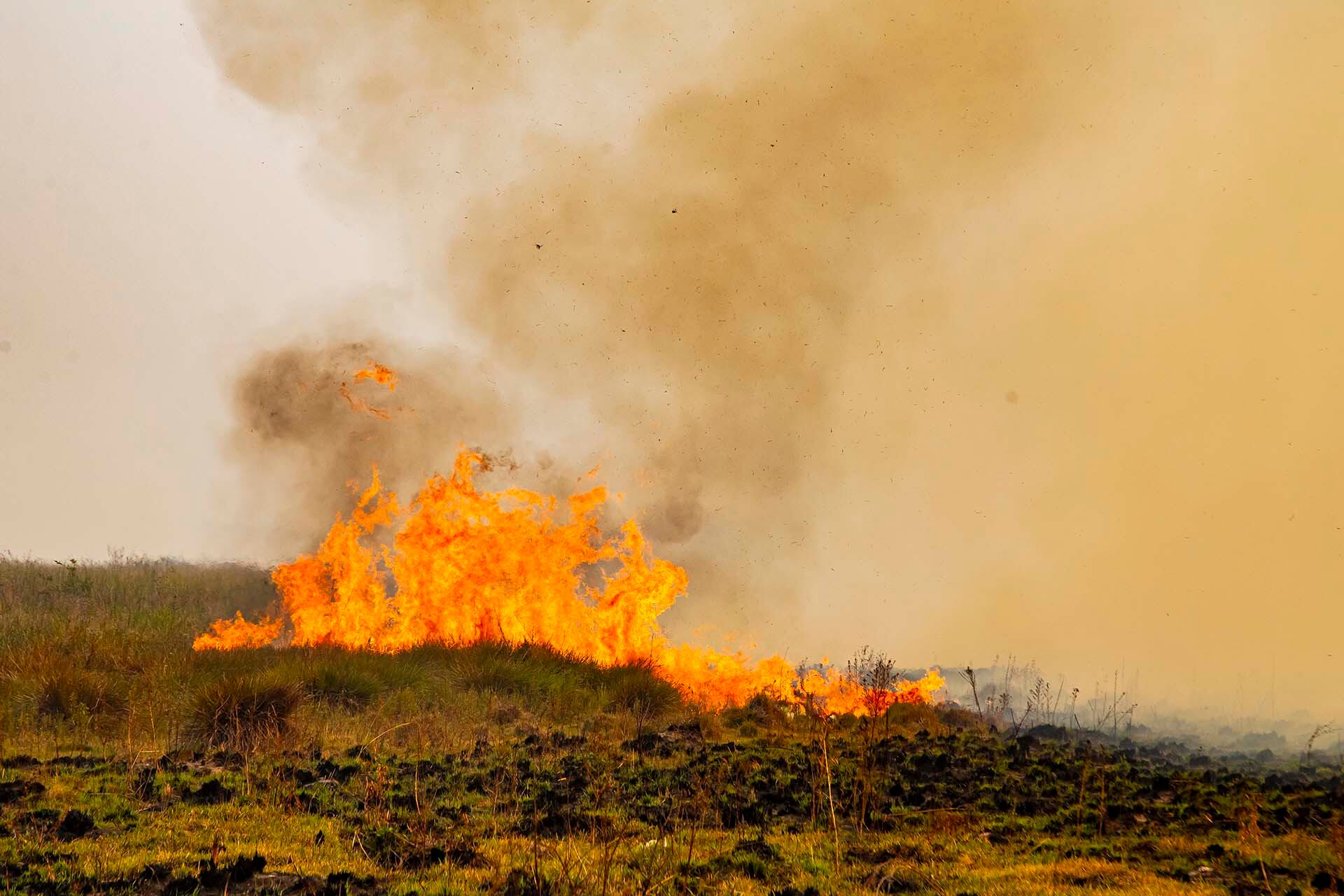 Incendios en los Esteros del Iberá