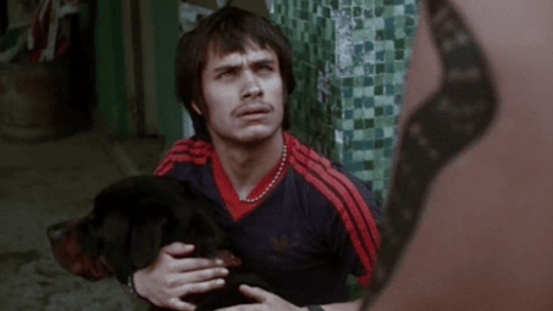 "Amores Perros" es uno de los filmes que definieron el cine mexicano de la década de los 2000