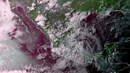 Onda tropical 10: estos serán los estados afectados por el fenómeno natural desde esta semana