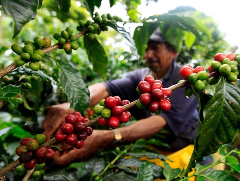 Del campo a la góndola, los precios de las 19 frutas y hortalizas se multiplicaron por 4,1 veces el mes pasado (REUTERS/José Miguel Gómez)