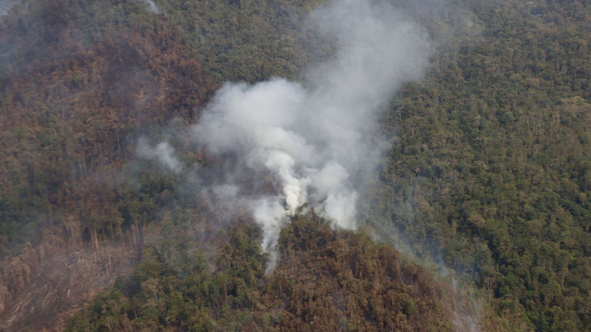 Incendios forestales en Perú: Sube a 20 el número de muertos, 150 heridos y cuantiosos daños en cultivos