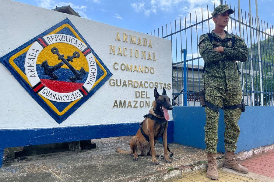 París, la pastor belga que apoya labores de las fuerzas militares en el Amazonas