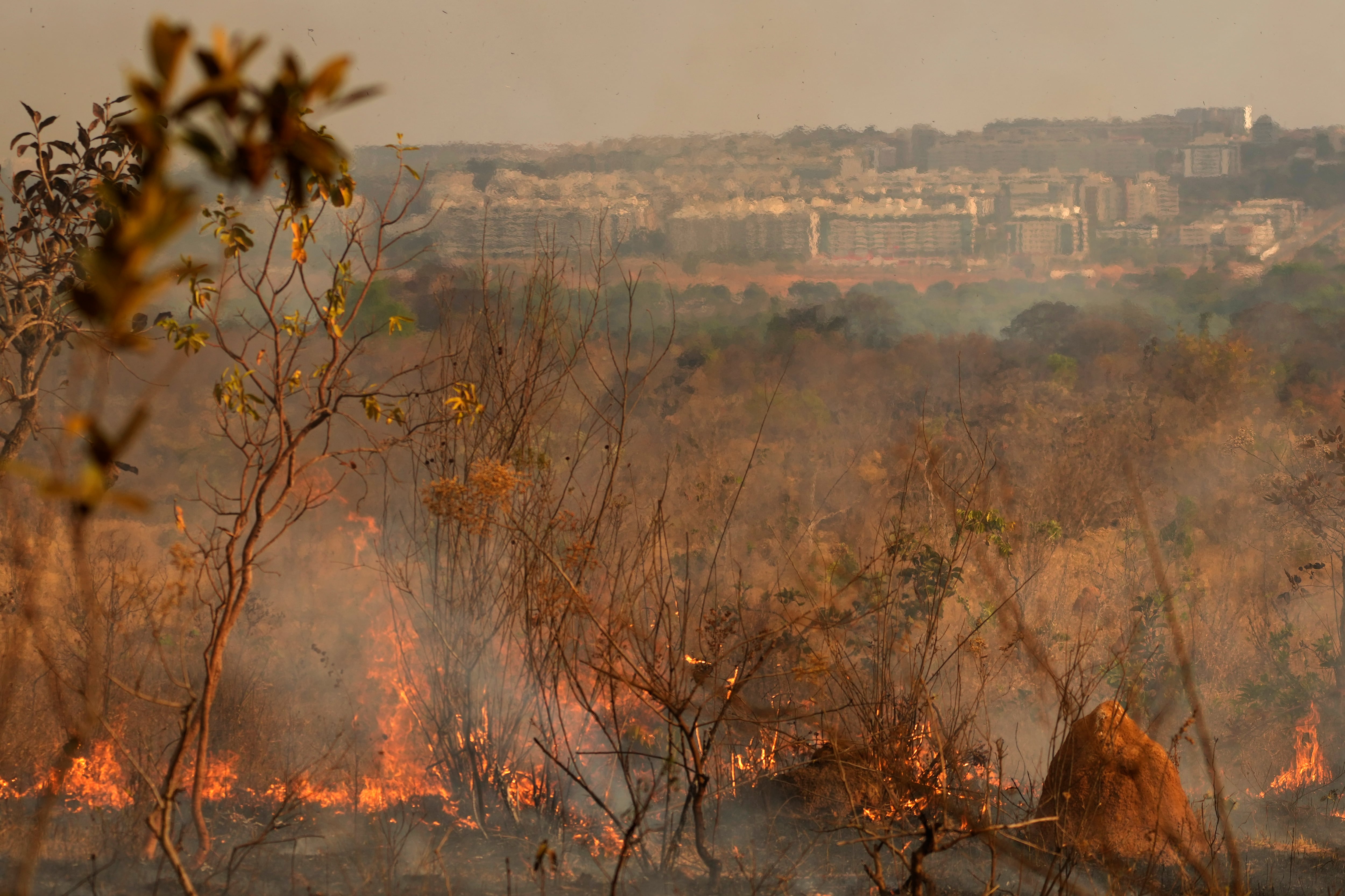 incendios en brasil