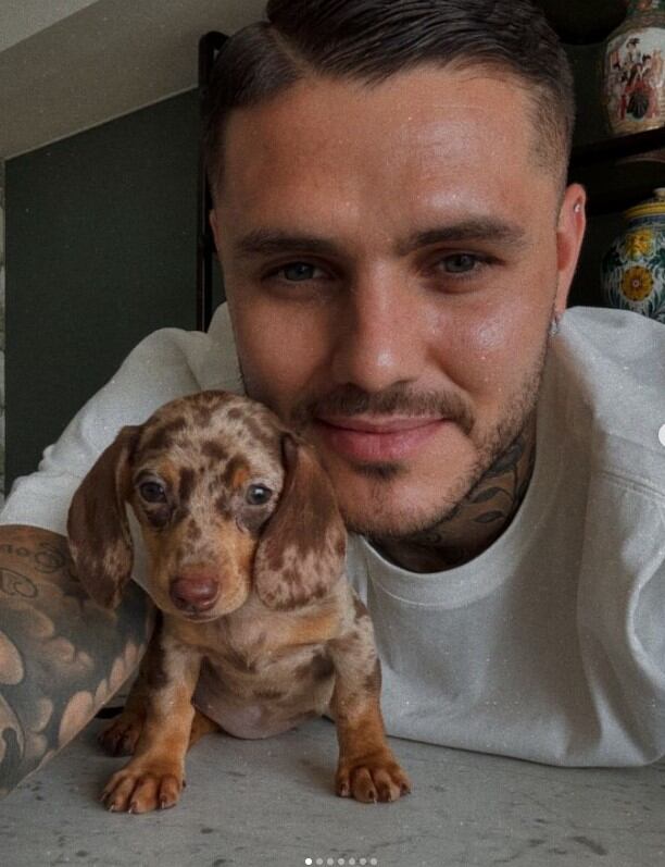 Susana, la perrita de Wanda Nara recibió con besos a Mauro Icardi (Instagram)