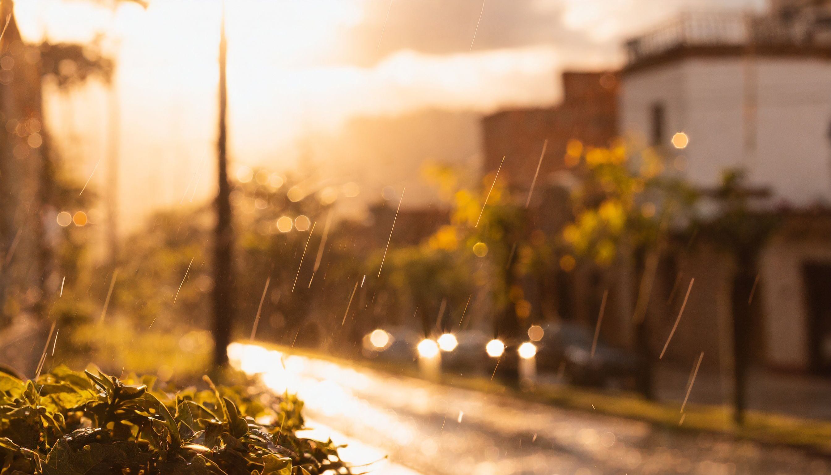 El pronóstico del clima en Ciudad de México (Imagen ilustrativa Infobae) 