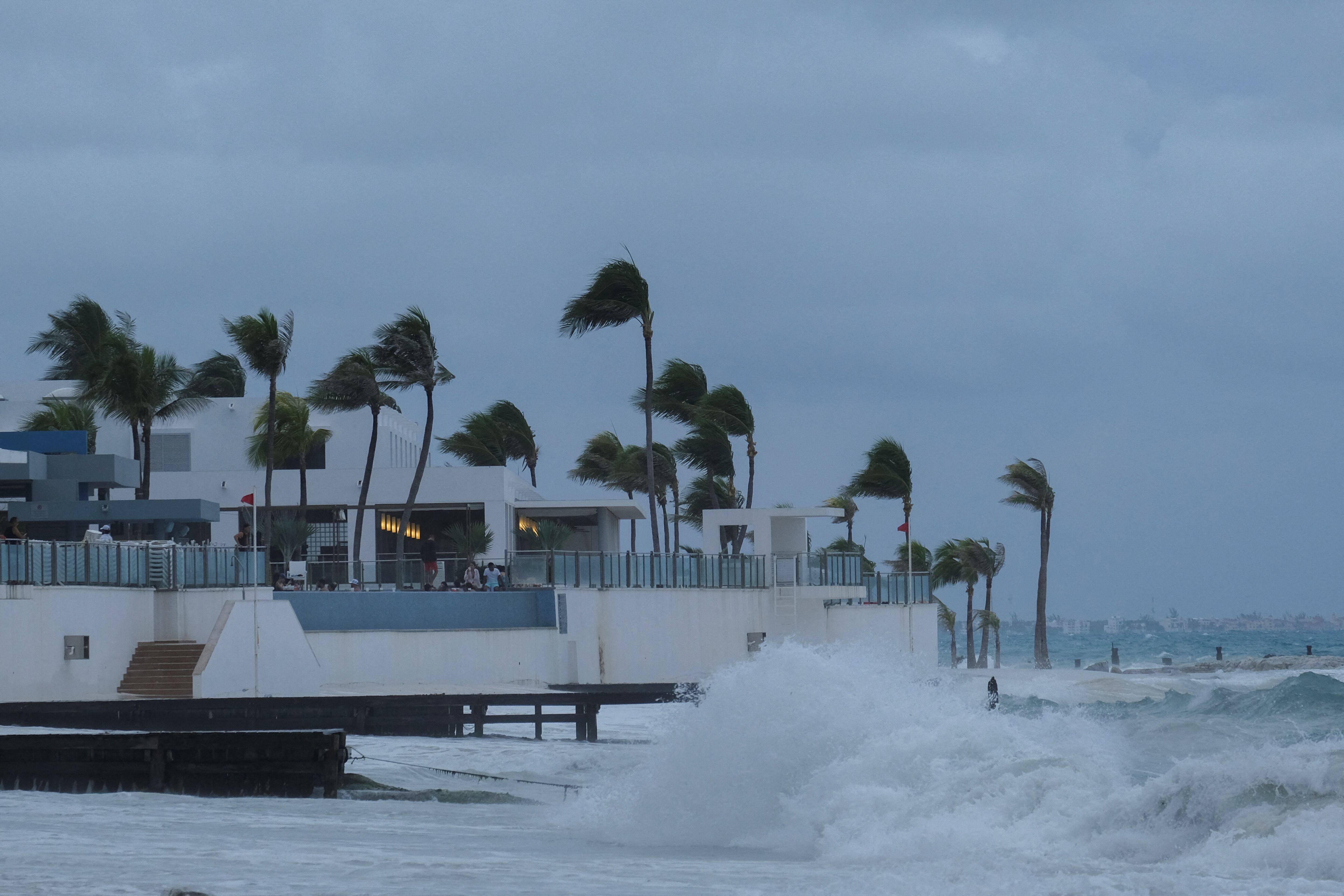 Palm trees sway as Tropical Storm Helene approaches the Yucatan Peninsula, in Cancun, Mexico September 24, 2024. REUTERS/Paola Chiomante