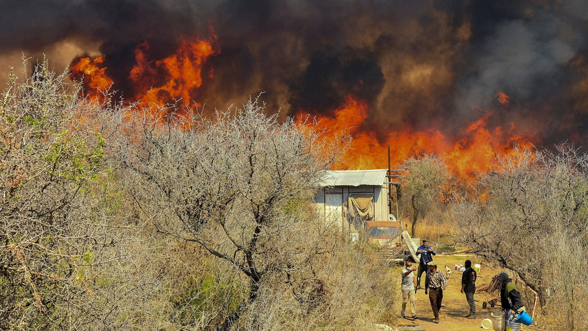 Córdoba en llamas: devastadores incendios forestales y sospechas de intereses inmobiliarios