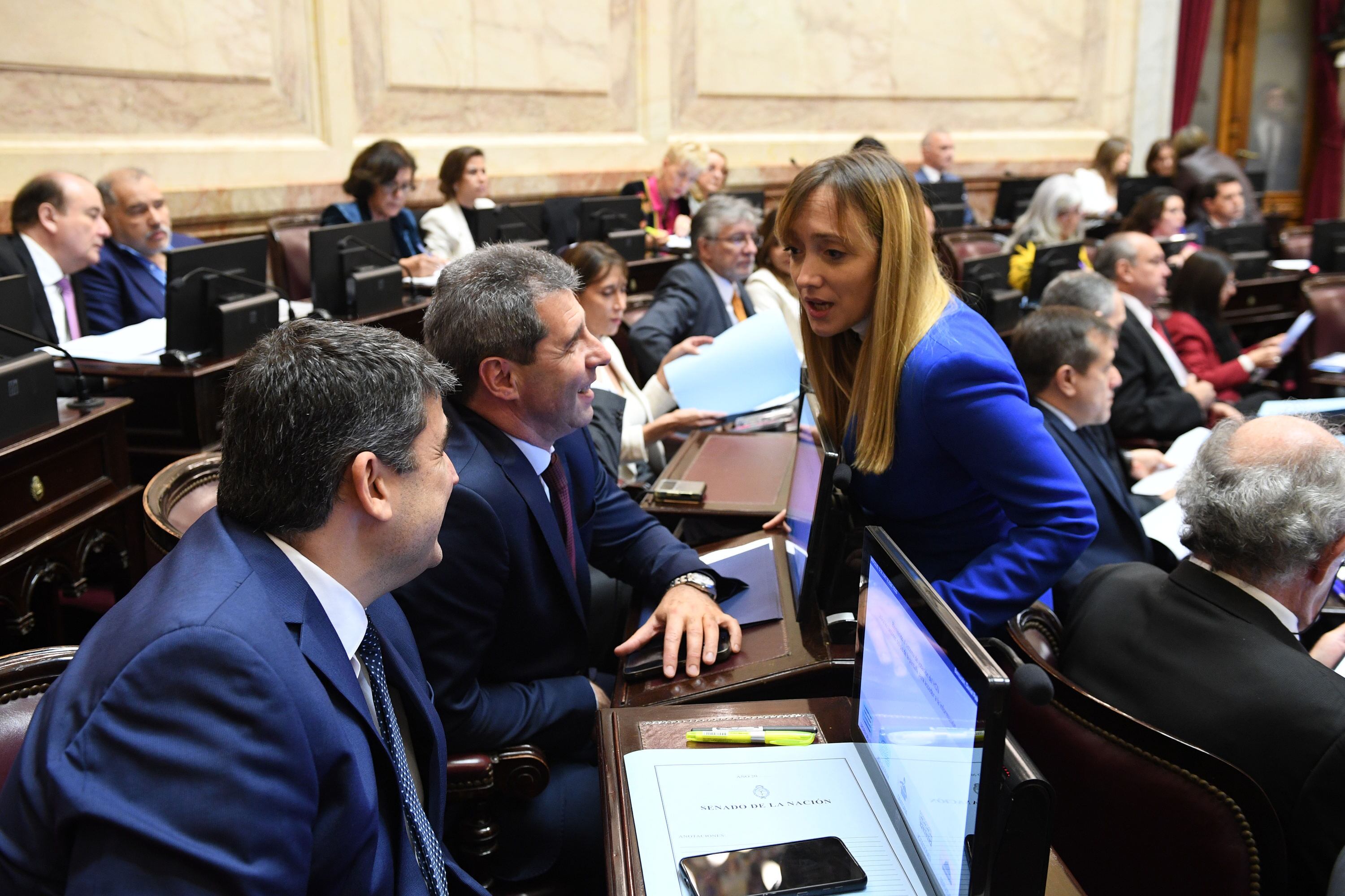 Debate Ley Bases en el Senado - 12.06.2024