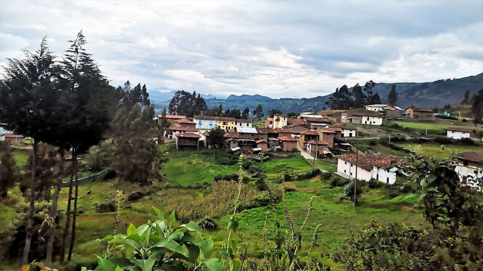 Contaminación Ambiental