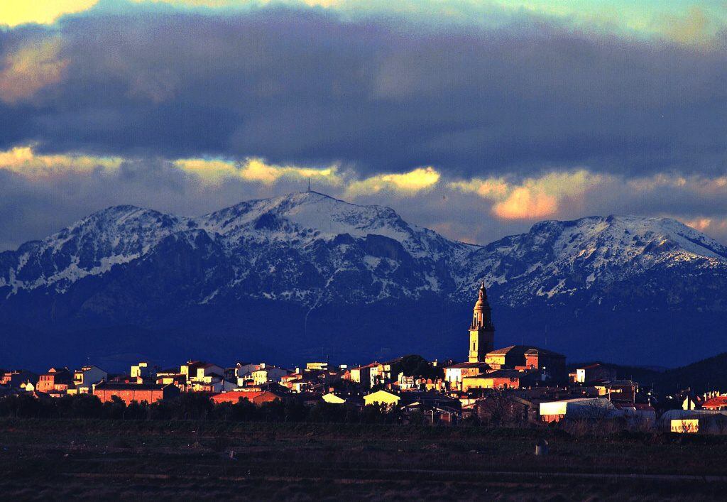 Mendavia, pueblo con más denominaciones de origen de todo el mundo (Ayuntamiento de Mendavia)