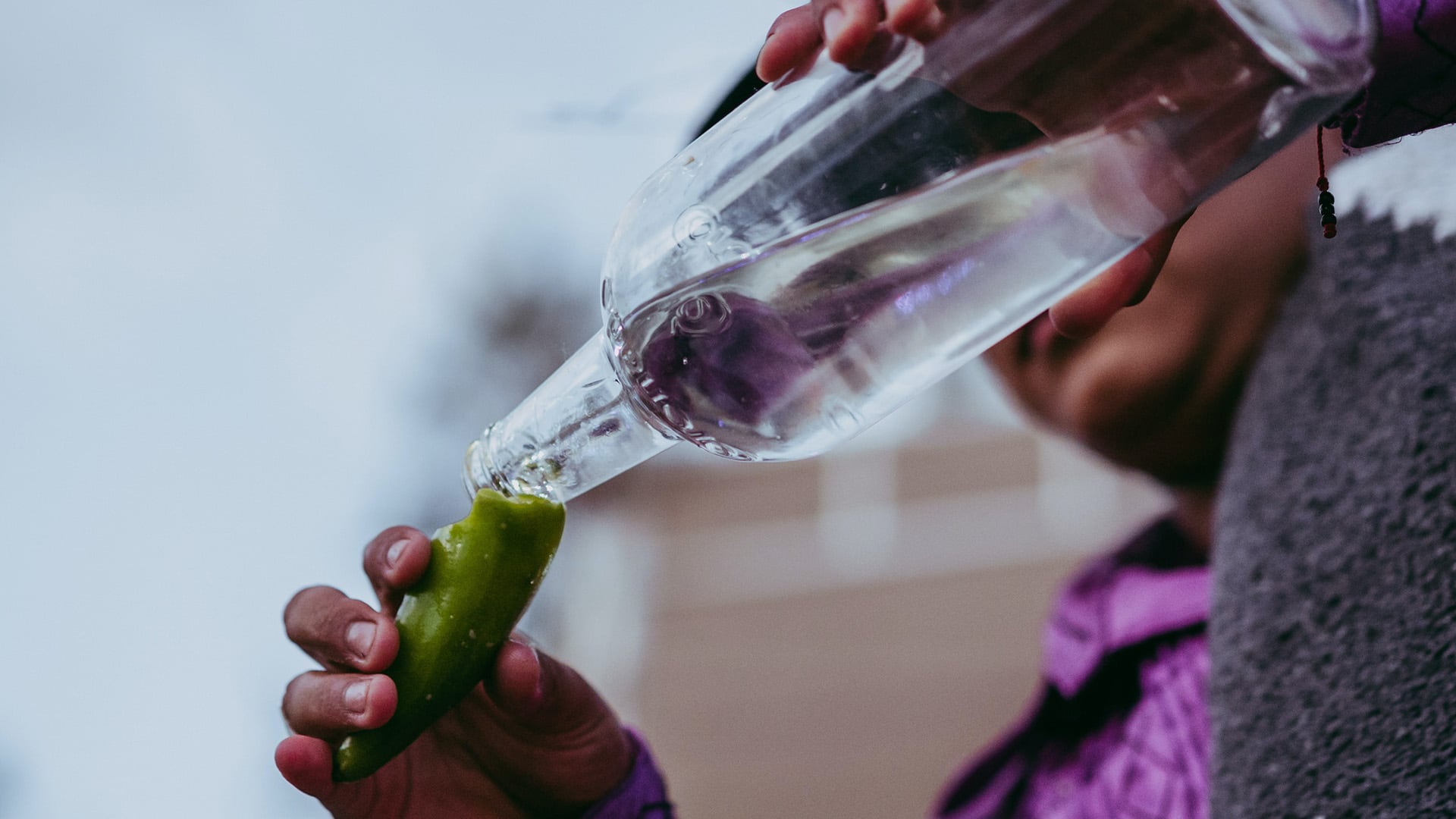 Estas son las mejores marcas de mezcal para celebrar las fiestas patrias, según Profeco